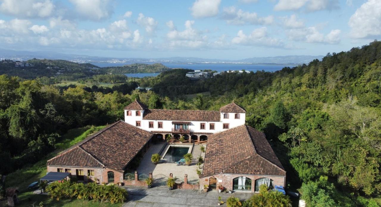 Domaine Du Chateau レ・トロワ・イレ エクステリア 写真